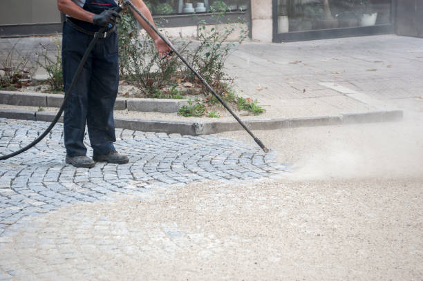 Best Driveway Pressure Washing  in Tennessee Ridge, TN